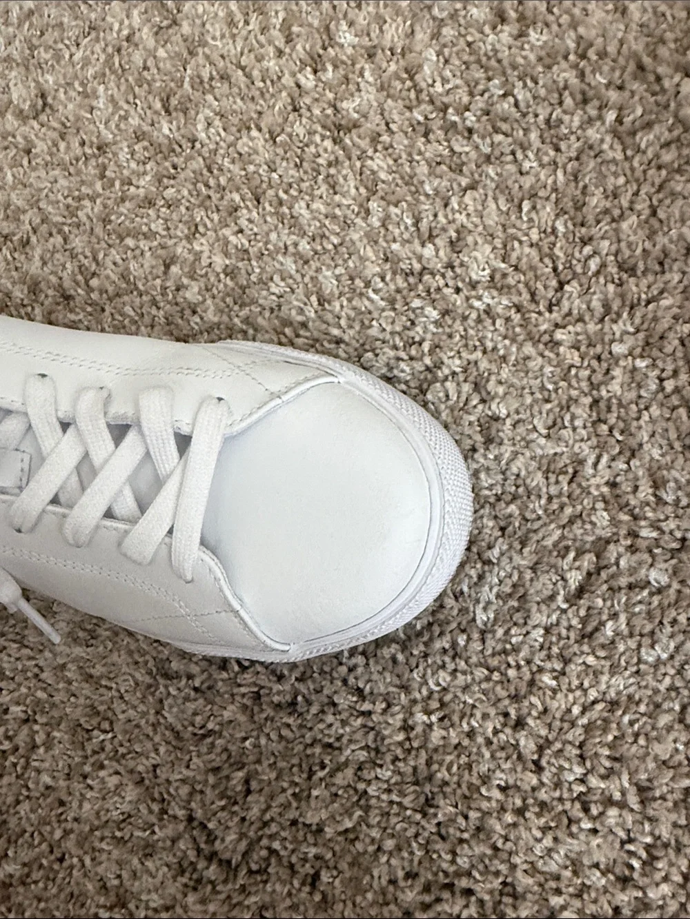 Lacoste clean white